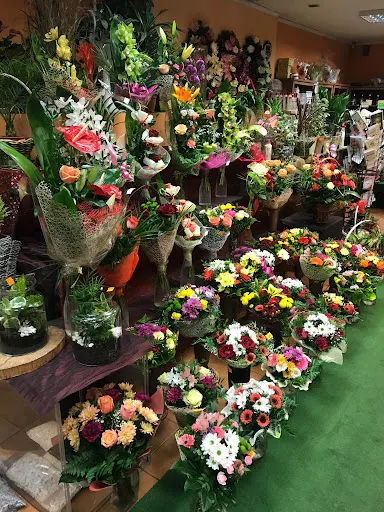 Kwiaciarnia Dracena - Poczta Kwiatowa Online Gorzów